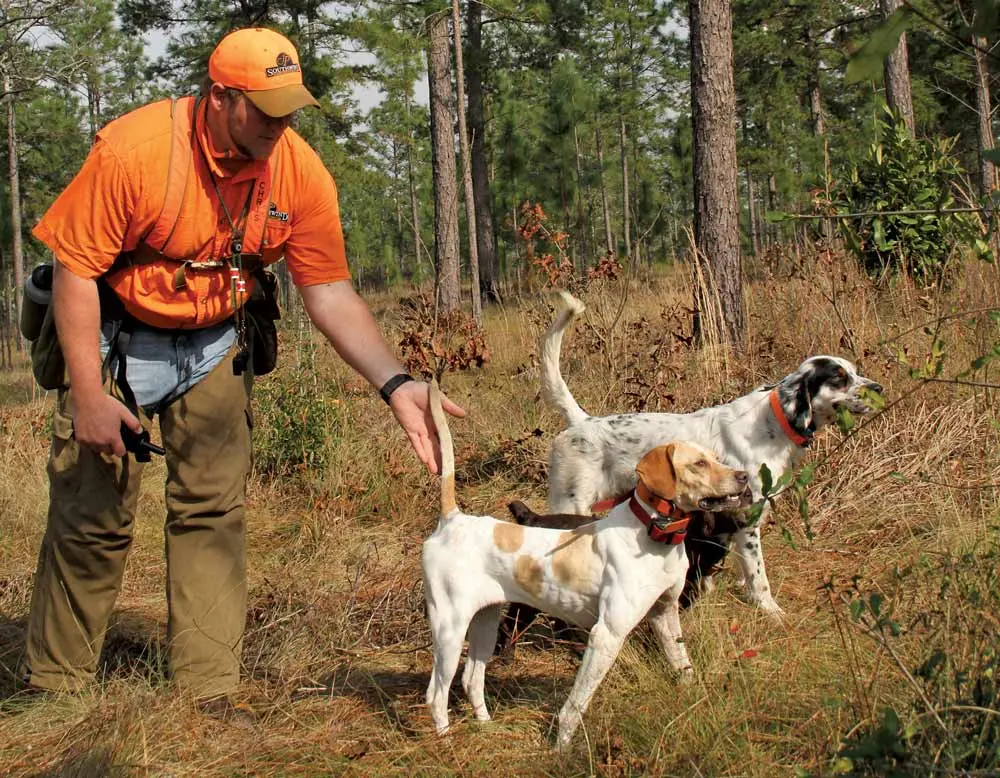 Off-Season Training at Preserves | Shooting Sportsman Magazine