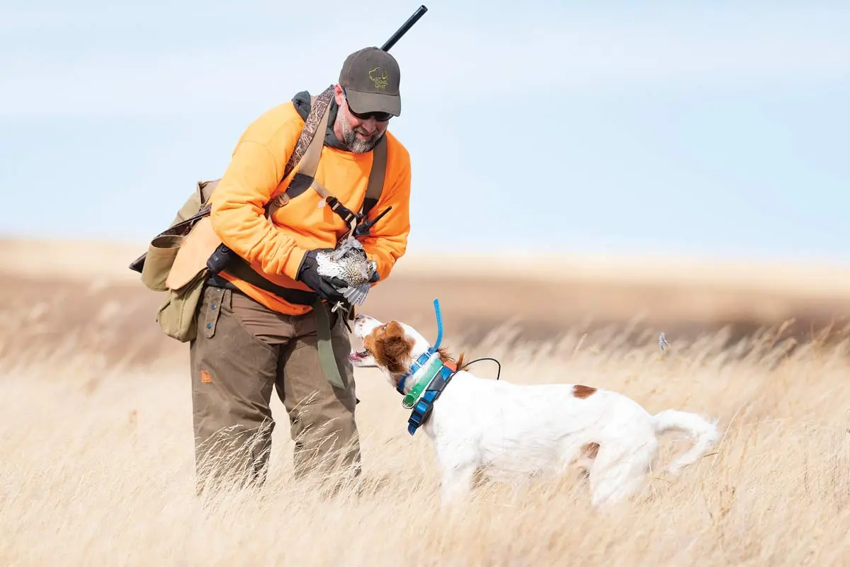 Simplifying Upland-Load Choices | Shooting Sportsman Magazine