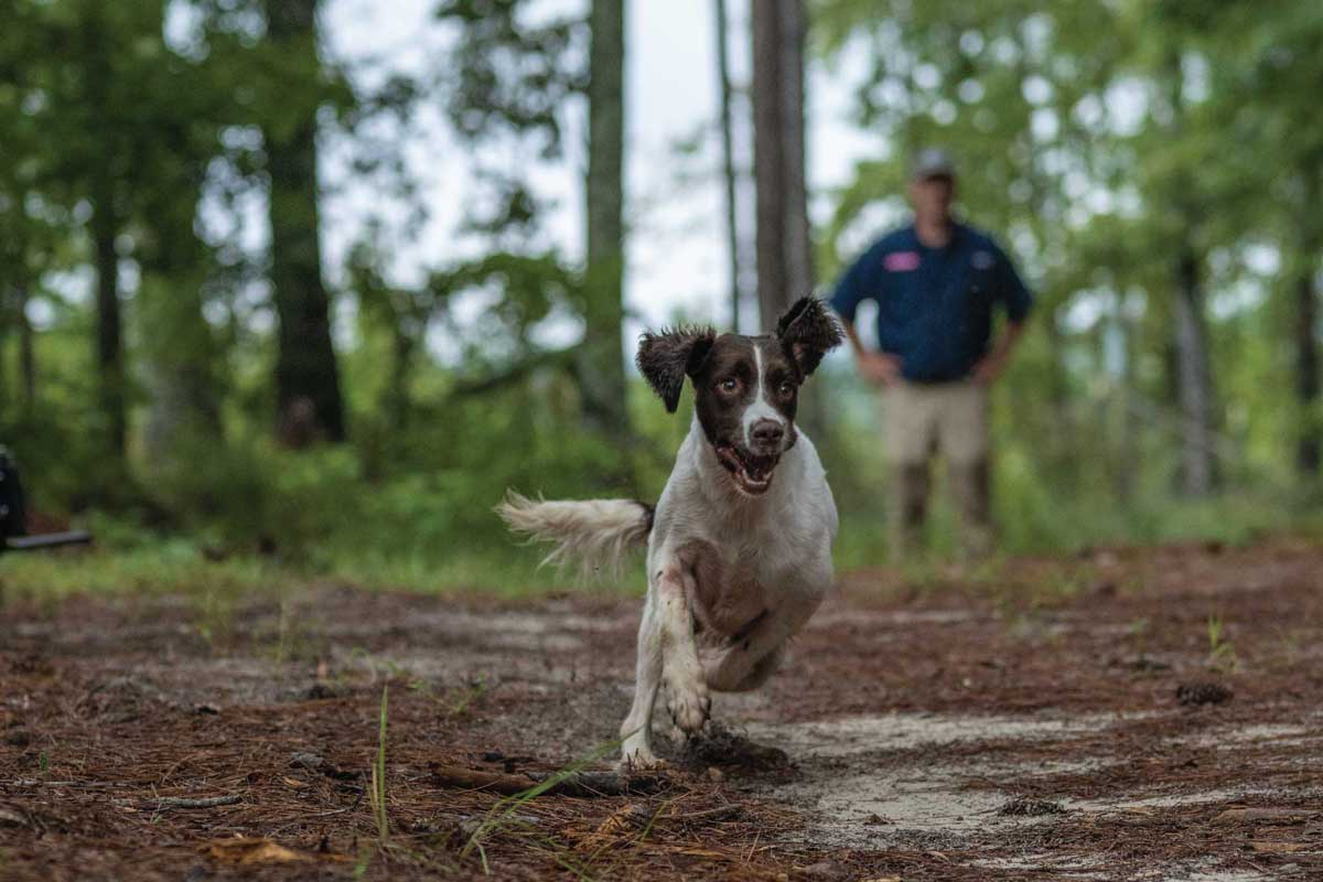 Eukanuba