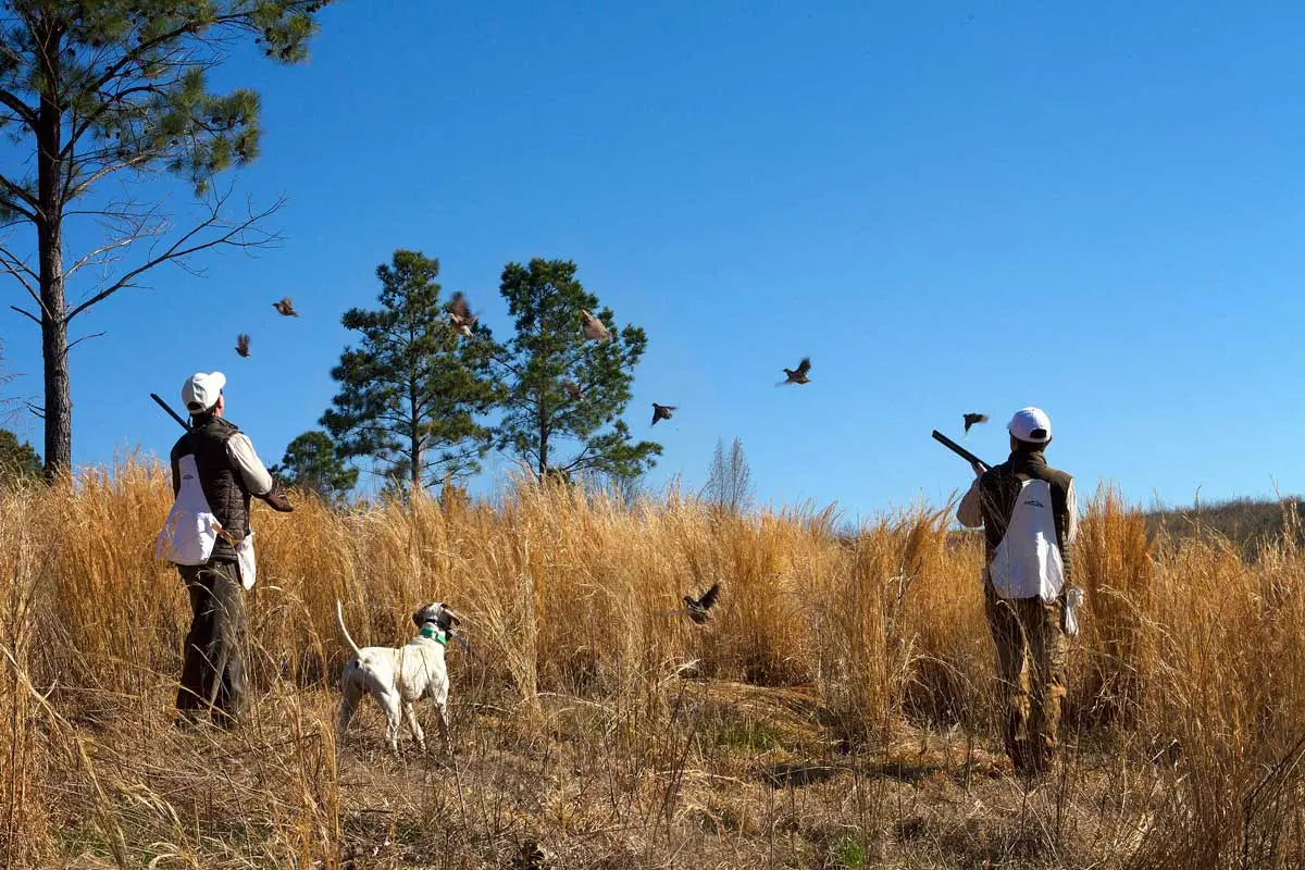 Fishing Creek Farms