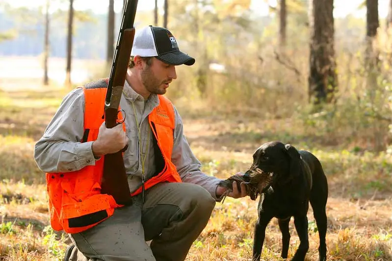 Gun & Trophy Insurance