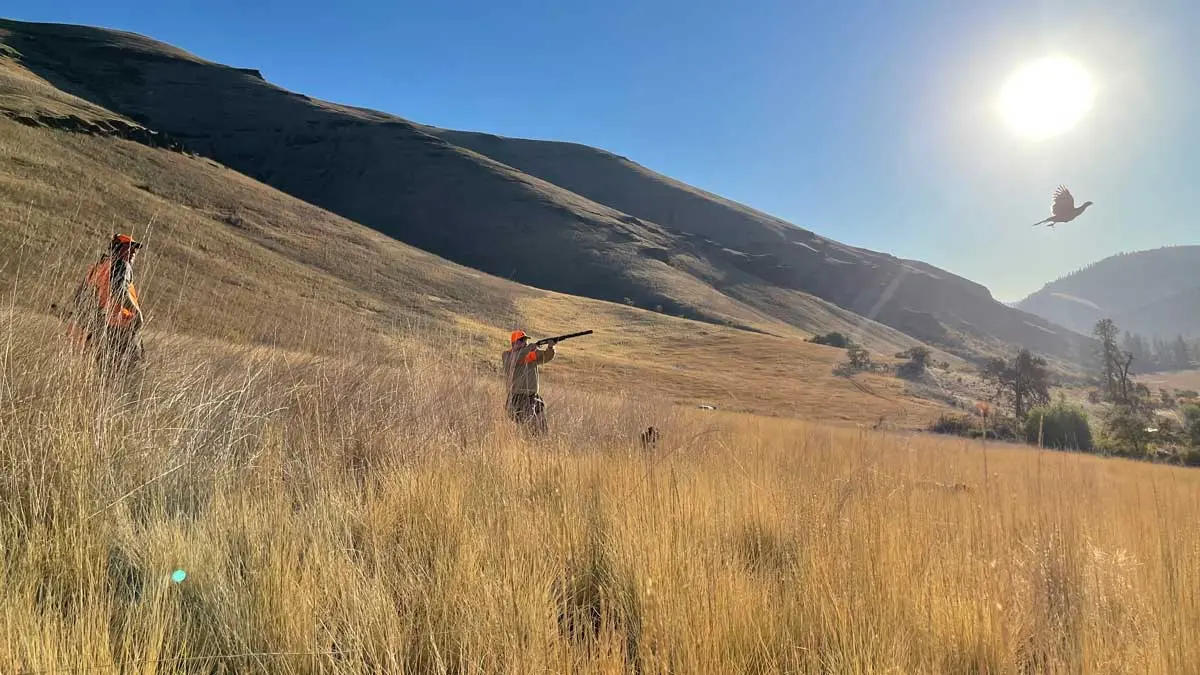 Flying B Ranch