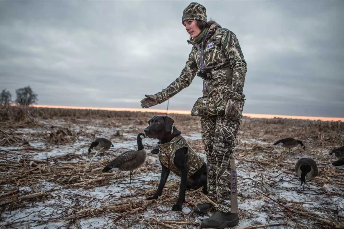 A-healthy-skin-and-coat-helps-keep-retrievers-warm-on-the-coldest-of-days