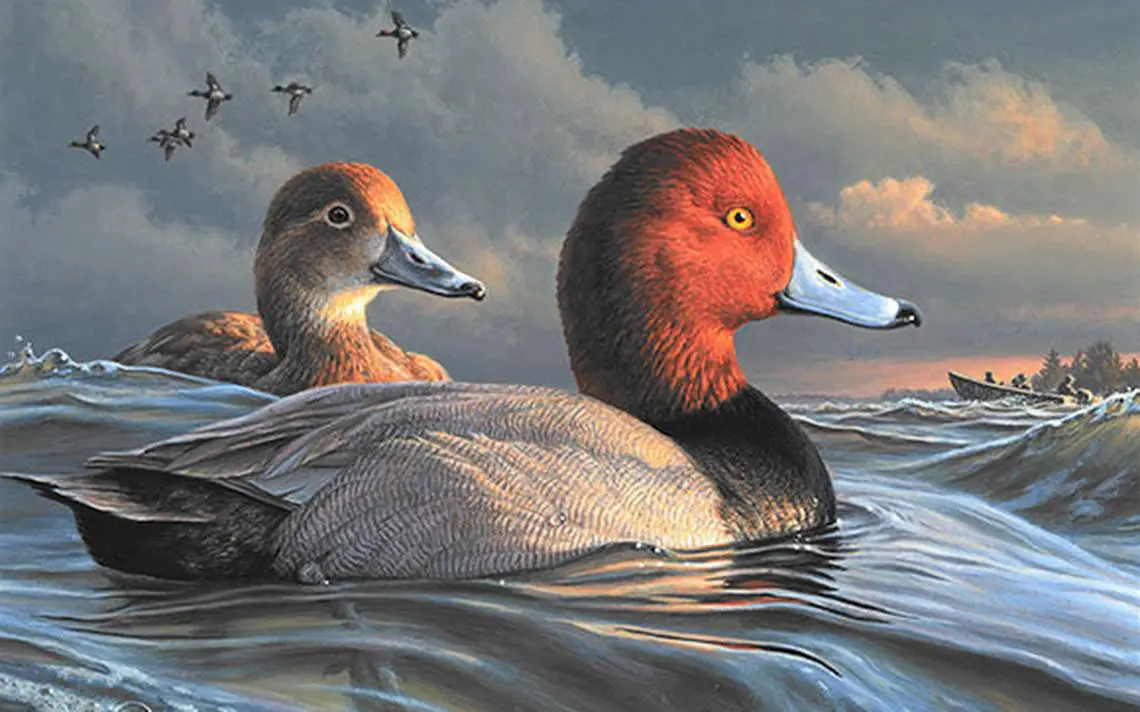 2022–’23 Federal Duck Stamp Winner