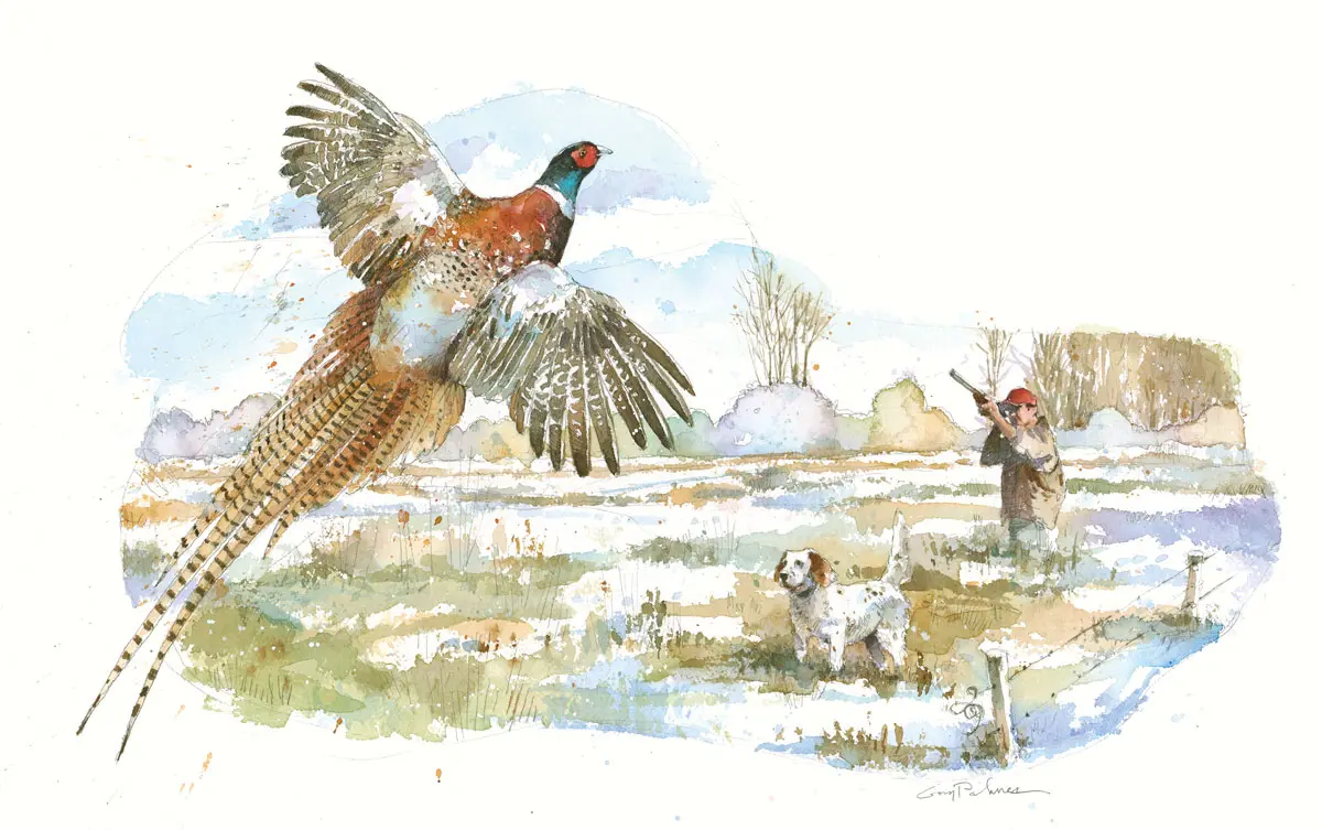 The Public Option - Pheasant hunting, 21st Century style | Shooting Sportsman Magazine