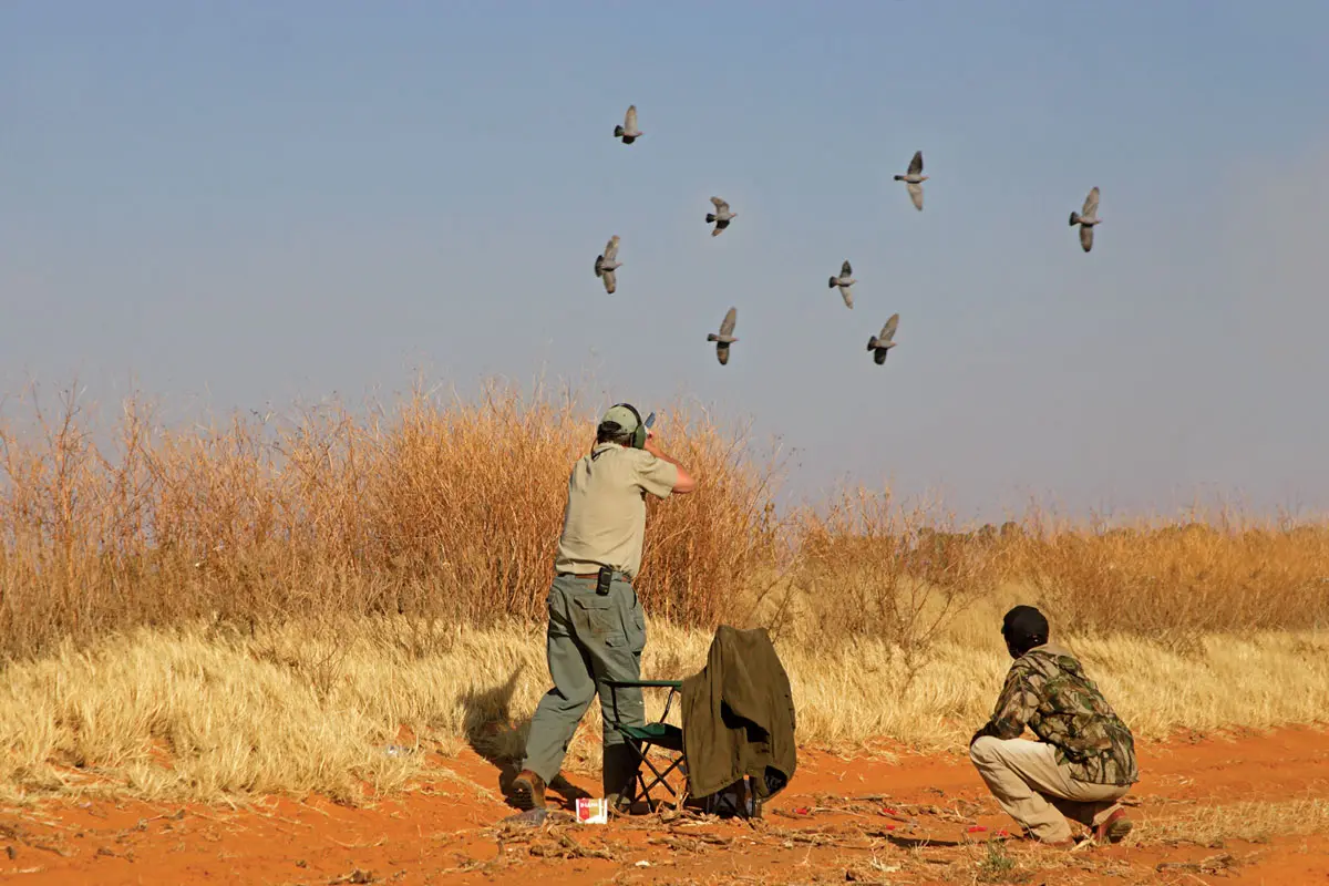 Wingshooting in Africa | Shooting Sportsman Magazine