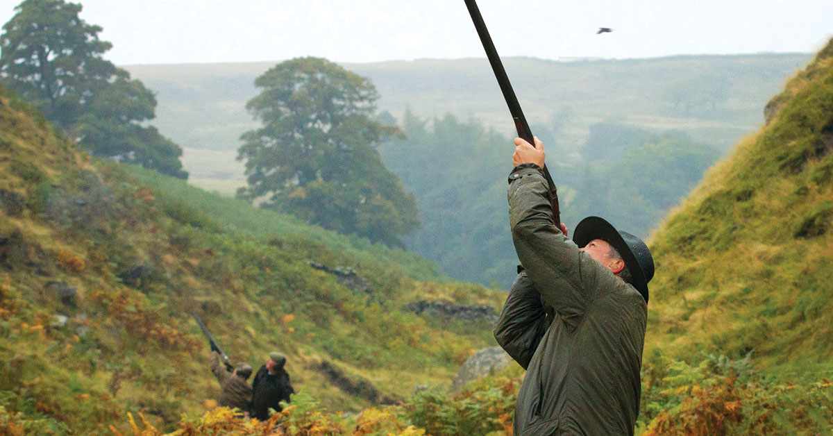 shootingsportsman.com