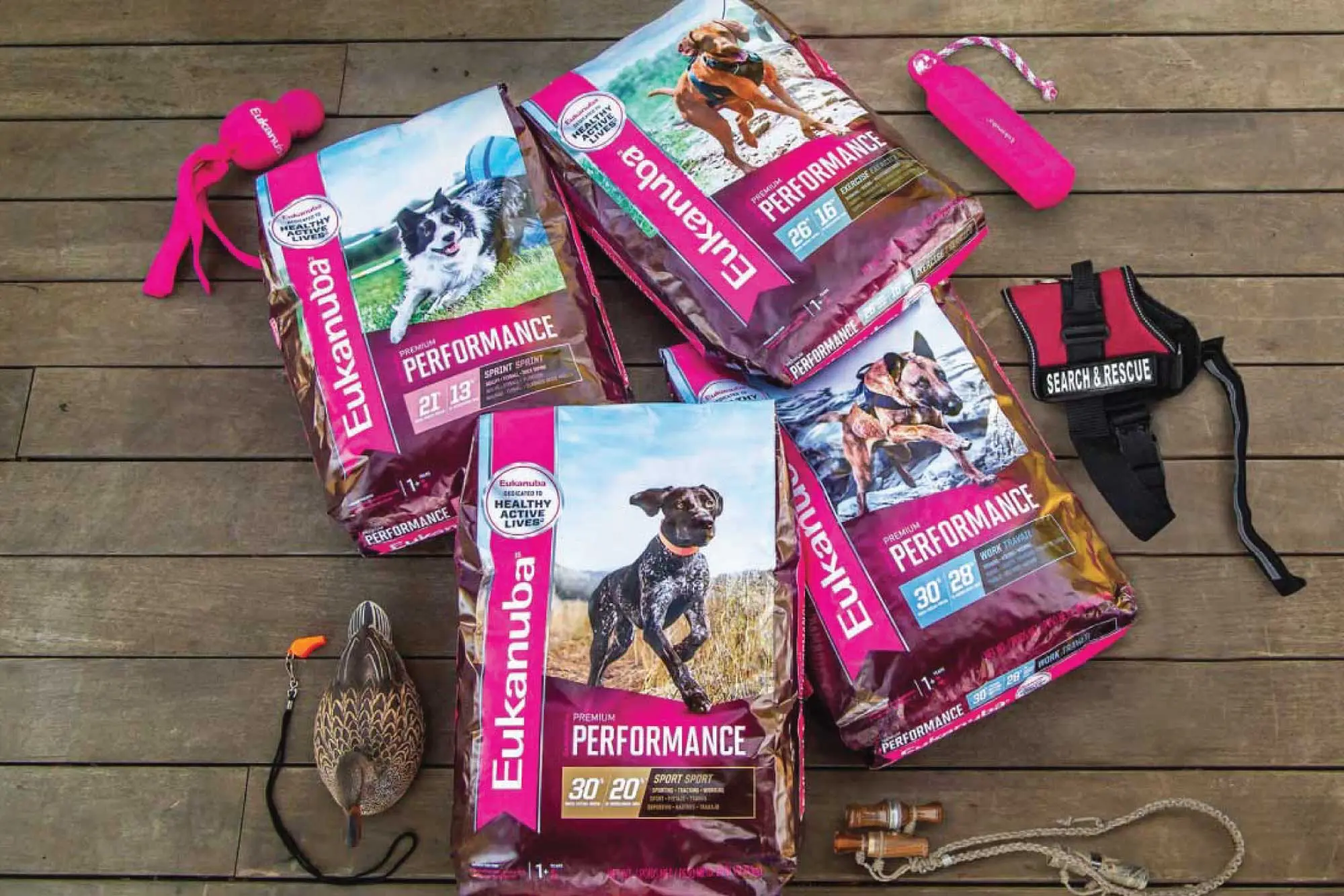 Eukanuba Sporting Dog