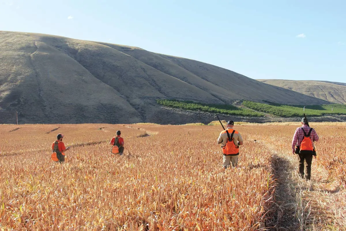 Heading for the Hills | Shooting Sportsman Magazine