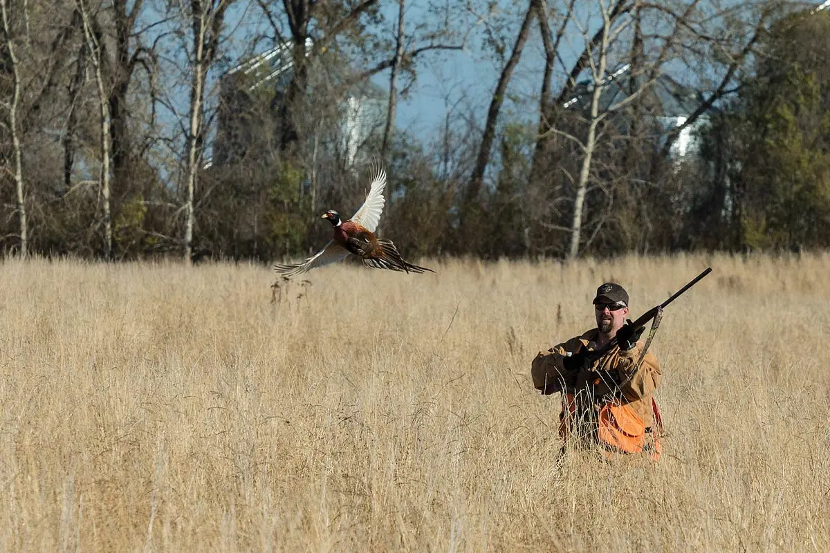 Hunters who handload have complete control over what goes into their shotshells and can markedly improve their ammunition's lethality.