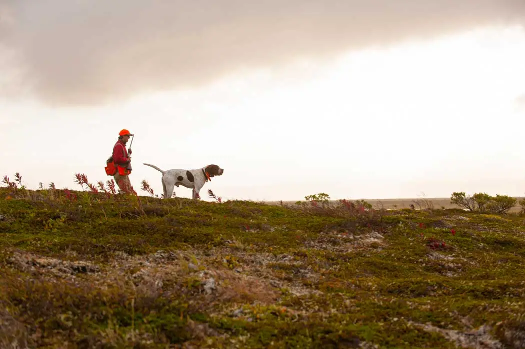 Shooting Sportsman Endorsed Lodges