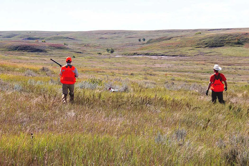 Shooting Sportsman Endorsed Lodges