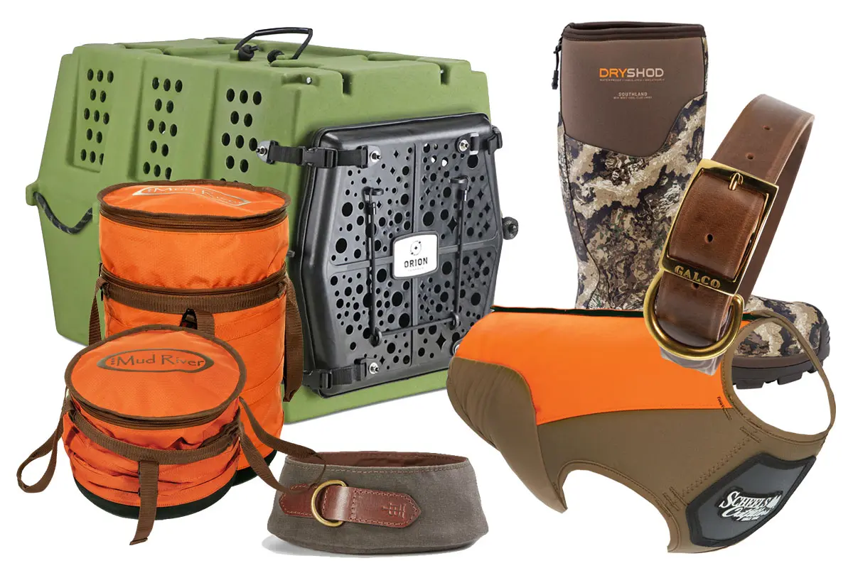 Training Time | Shooting Sportsman Magazine