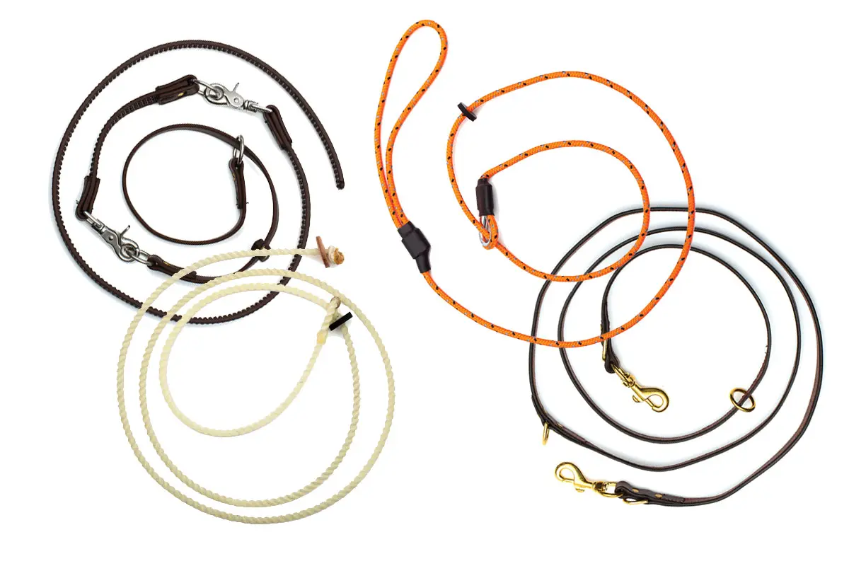 Take the Lead! | Shooting Sportsman Magazine