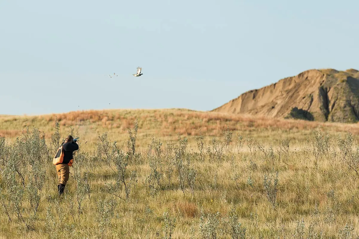 Beware These Two Mistakes | Shooting Sportsman Magazine