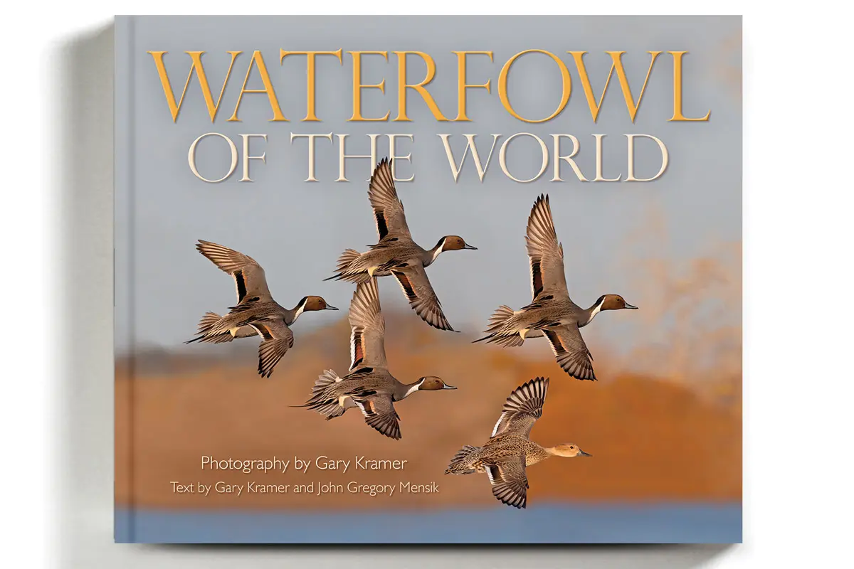 A Waterfowl Work | Shooting Sportsman Magazine