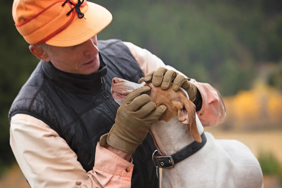 ‘Mean Seeds’ & Bird Dogs | Shooting Sportsman Magazine