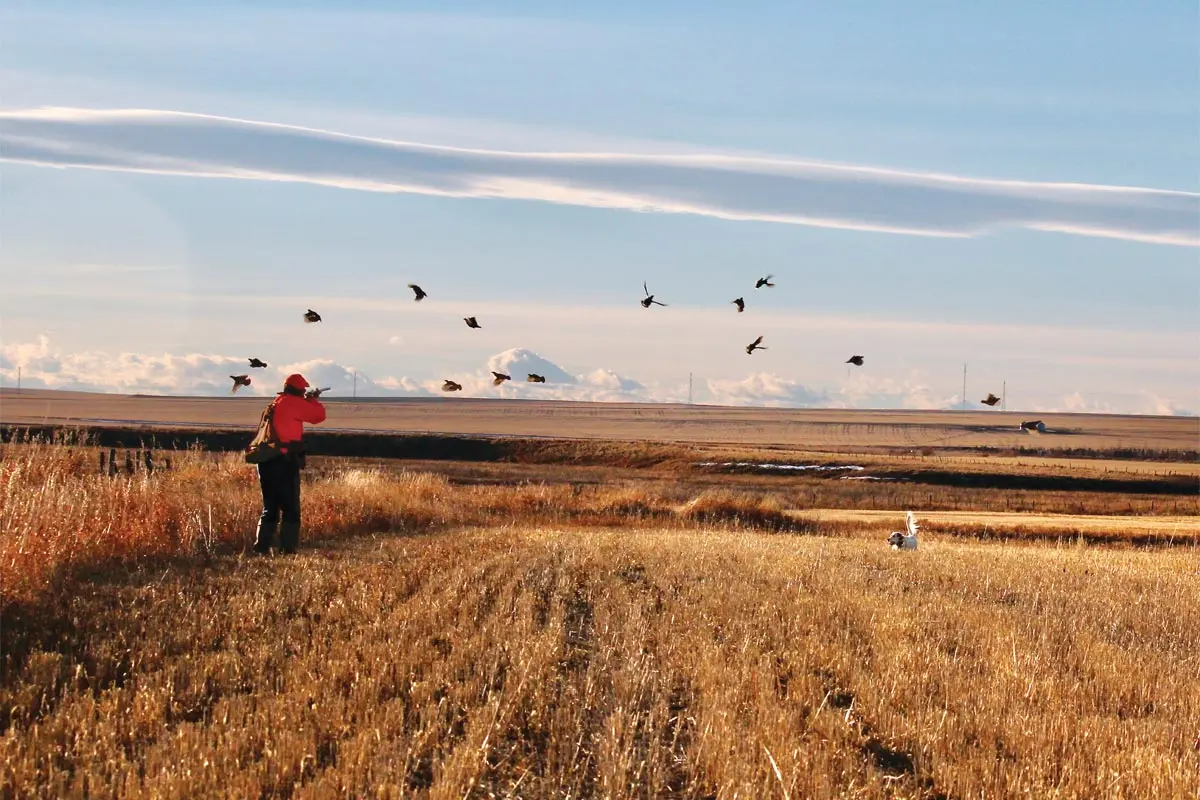 Capturing the Moment | Shooting Sportsman Magazine