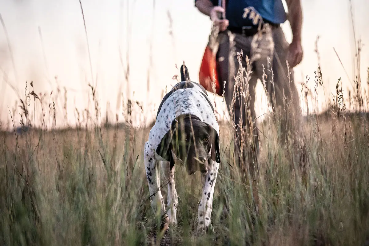 Heat-Related Illness | Shooting Sportsman Magazine