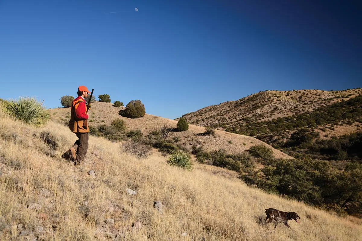 Quail & Conservation | Shooting Sportsman Magazine