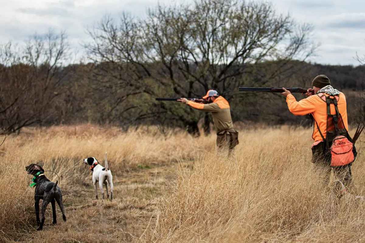 A Kingdom of Birds | Shooting Sportsman Magazine