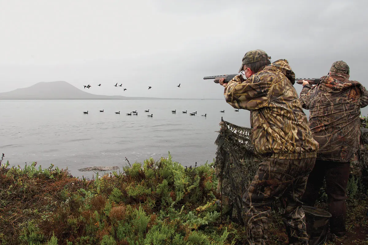 The Brant of San Quintín Bay | Shooting Sportsman Magazine