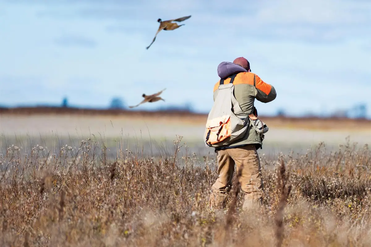 Issues & Answers | Shooting Sportsman Magazine