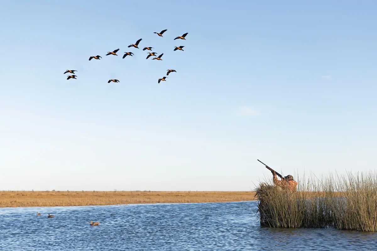 An Argentina Adventure | Shooting Sportsman Magazine