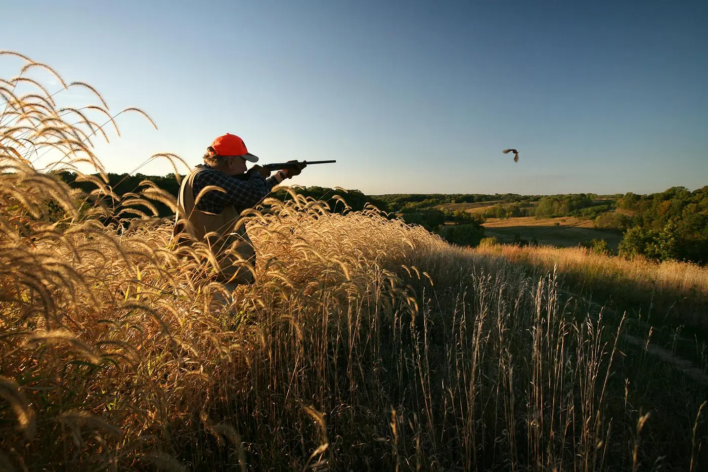 Farmland hunting at Heartland Lodge.