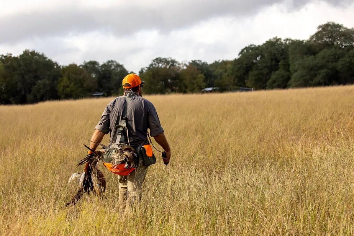Pheasant Hunt at Joshua Creek Ranch