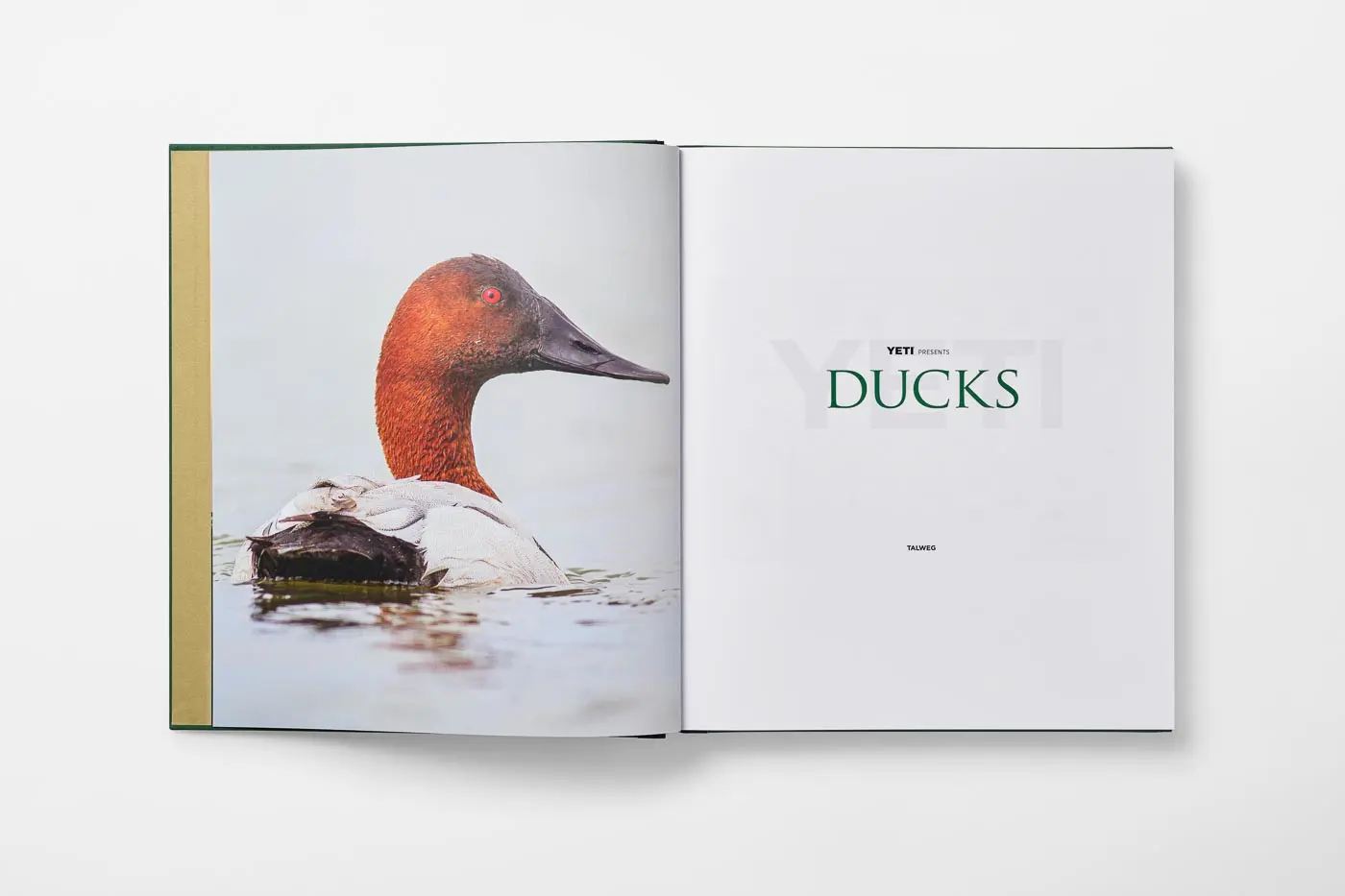 Yeti duck book