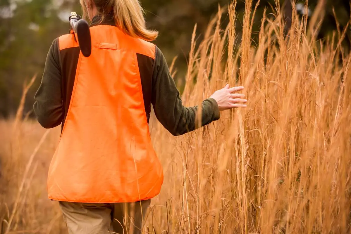 Quail Hunting at Rio Piedra Plantation