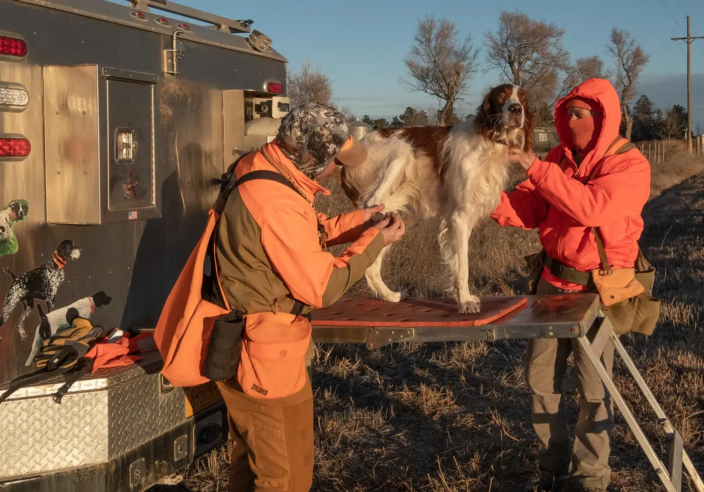 Hunters checking dogs fur