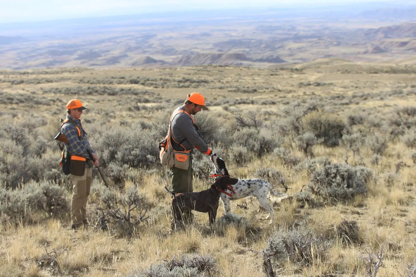 Hunting dogs and people
