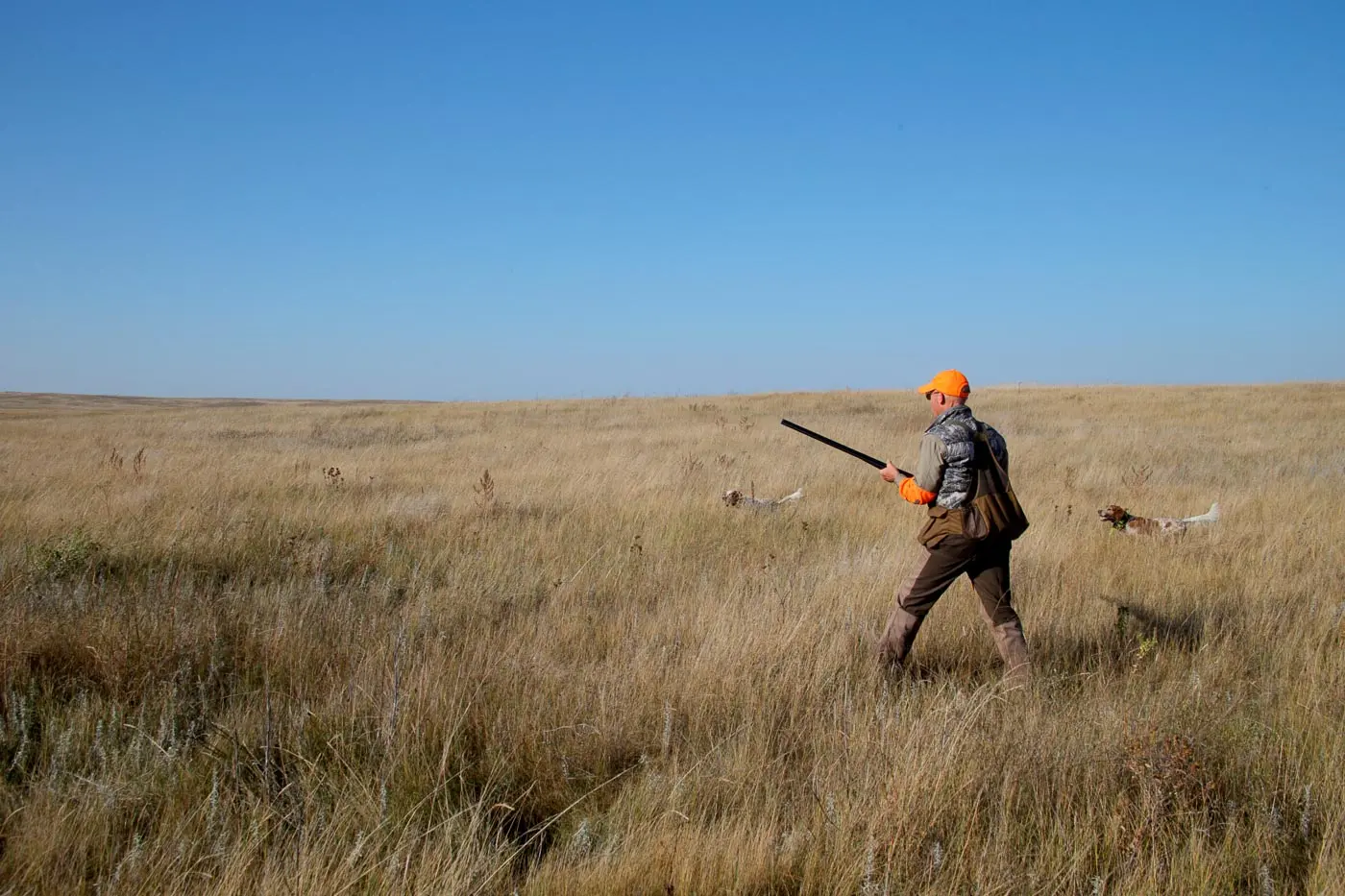 man walking in a field with a shotgun
