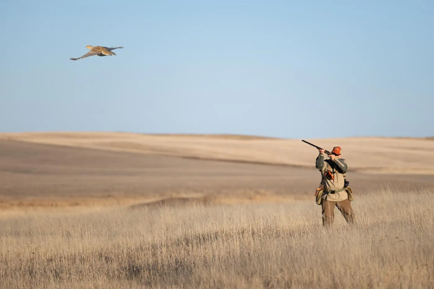Man hunting a bird