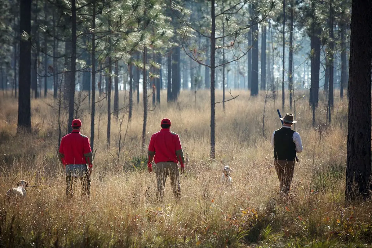 Pine Hill Plantation