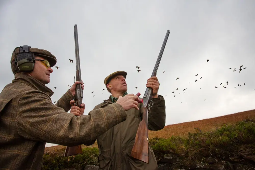 Grouse Driven Shooting