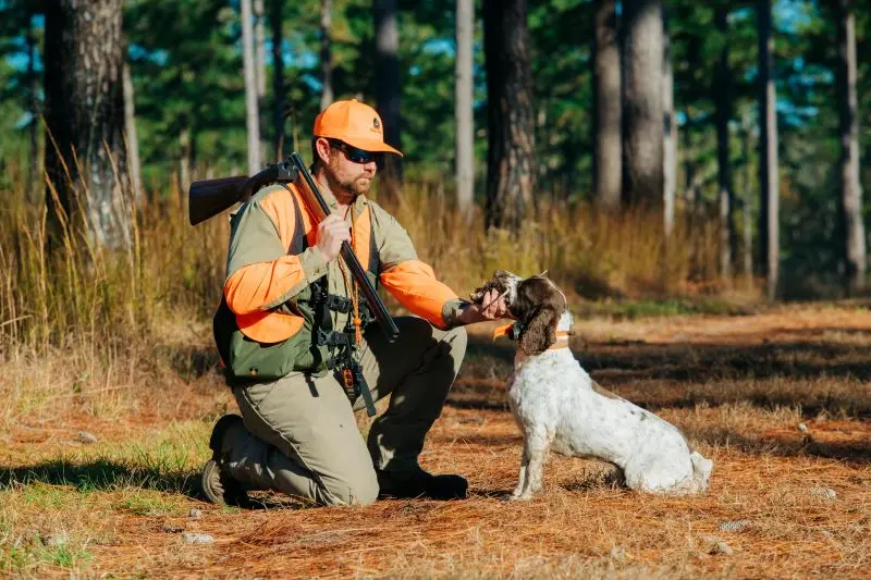 Brays Island Quail Hunter and Dog