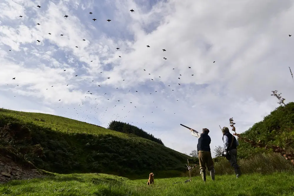 men shooting at birds