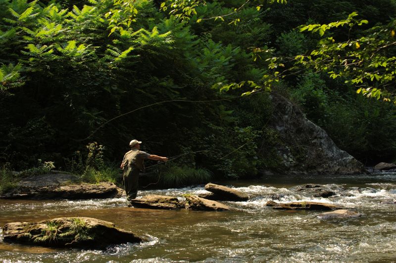 Primland Fly Fishing