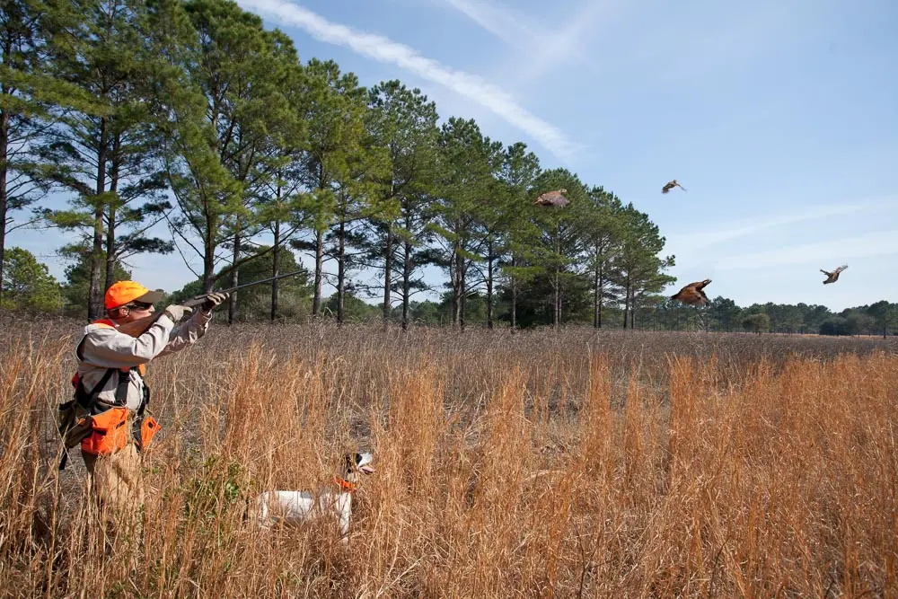 Brays Island A Sporting Oasis