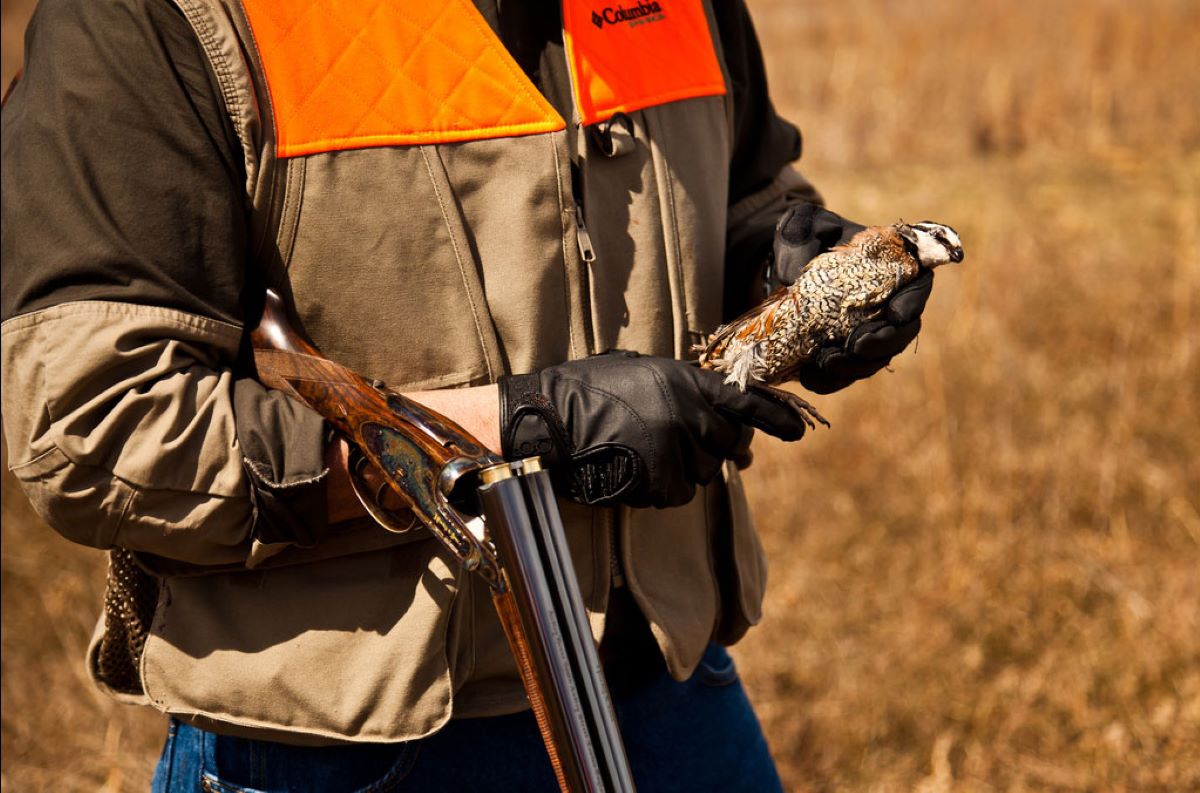 Winghaven Lodge Quail Hunter