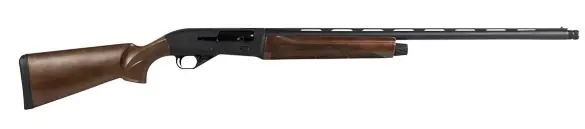 CZ gun