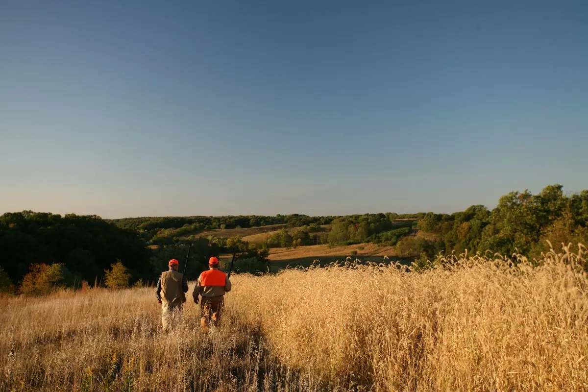 Heartland Lodge Quail Hunters