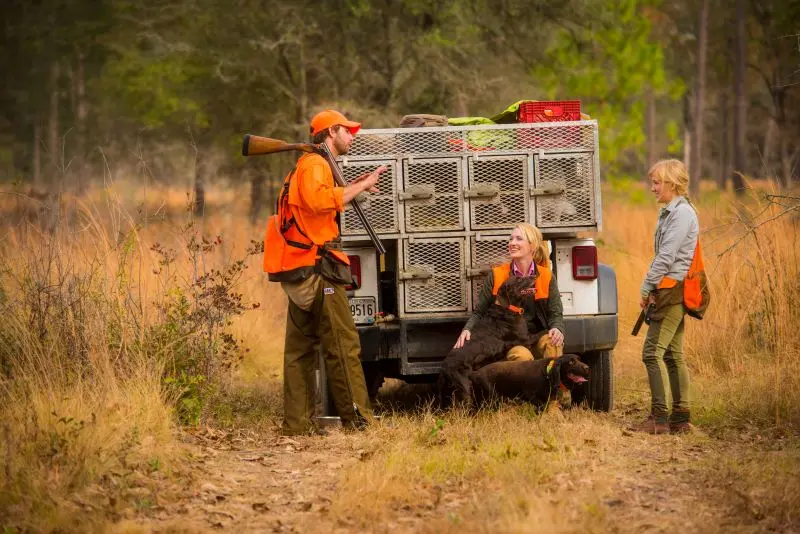 Rio Piedra Plantation Quail Hunt