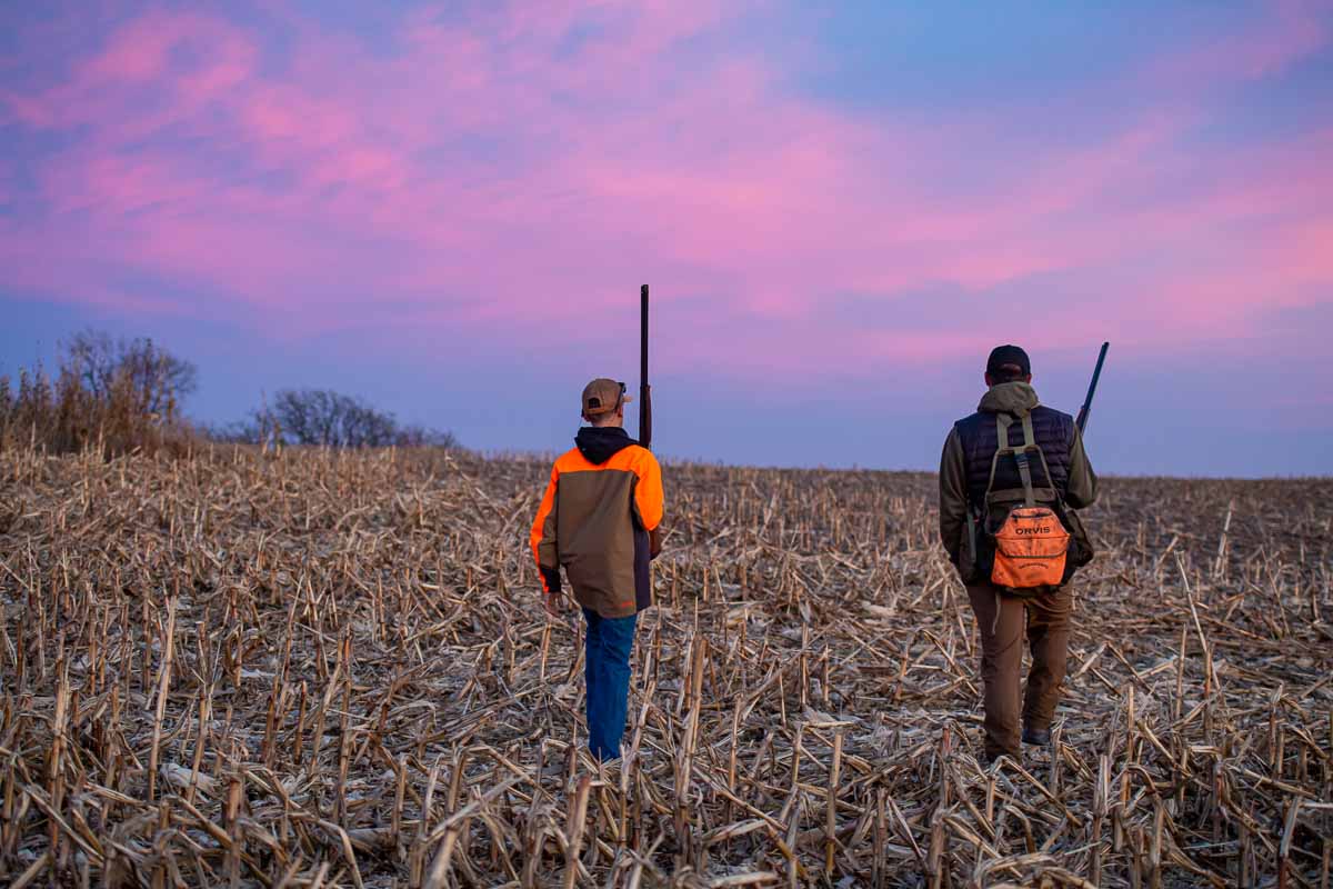 people walking beneath a colorful sky