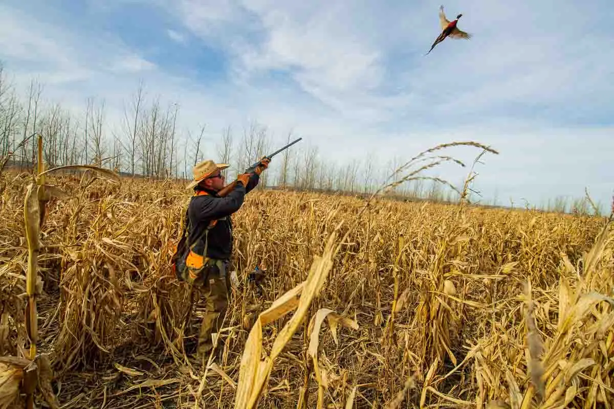 hunter in the field