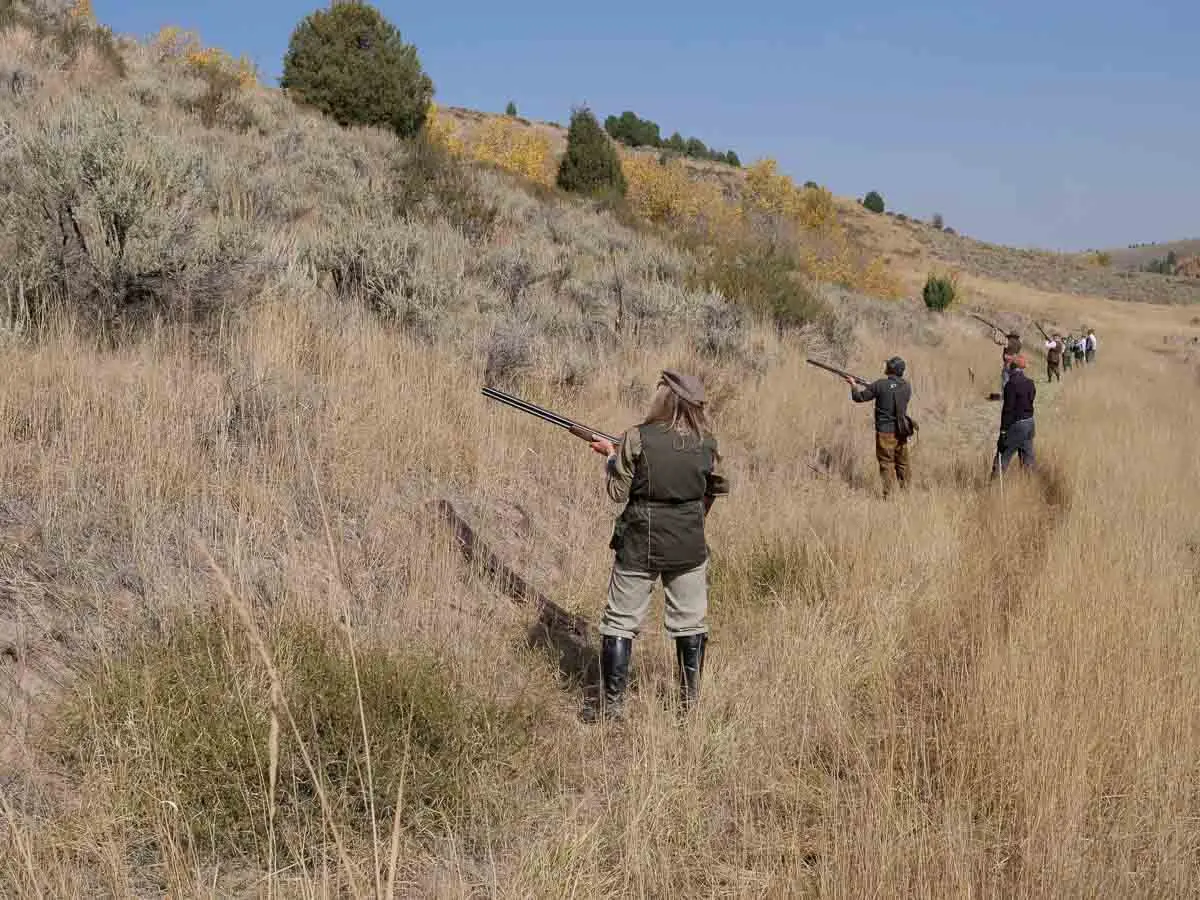 people shooting
