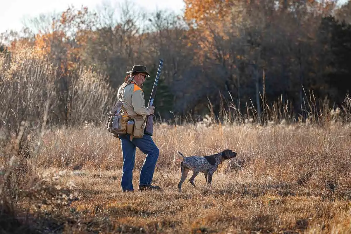 Quail hunting over pointing and flushing dogs takes place in beautifully restored Black Prairie habitat. 